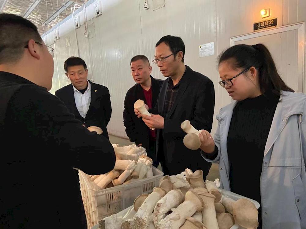 3b015ff581e84afa87d47c46a669a210.jpeg 3b015ff581e84afa87d47c46a669a210.jpeg