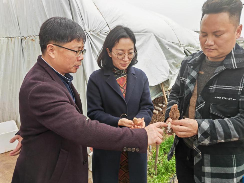 f475611ad32f4aa881319460a8e99d98.jpeg f475611ad32f4aa881319460a8e99d98.jpeg