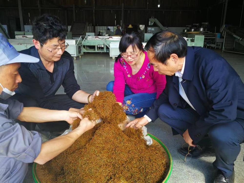 14a52d1a61b14e158f0a05dc727f77ac.jpeg 14a52d1a61b14e158f0a05dc727f77ac.jpeg