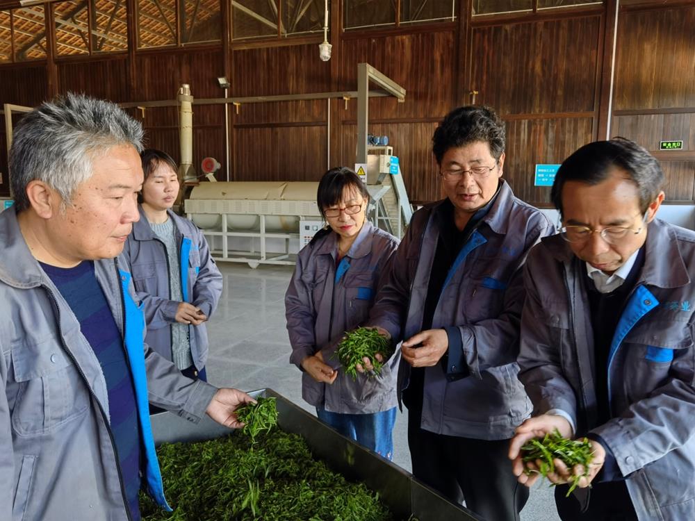 40ce395c09ee47dc812d0df62dcc4ab0.jpeg 40ce395c09ee47dc812d0df62dcc4ab0.jpeg