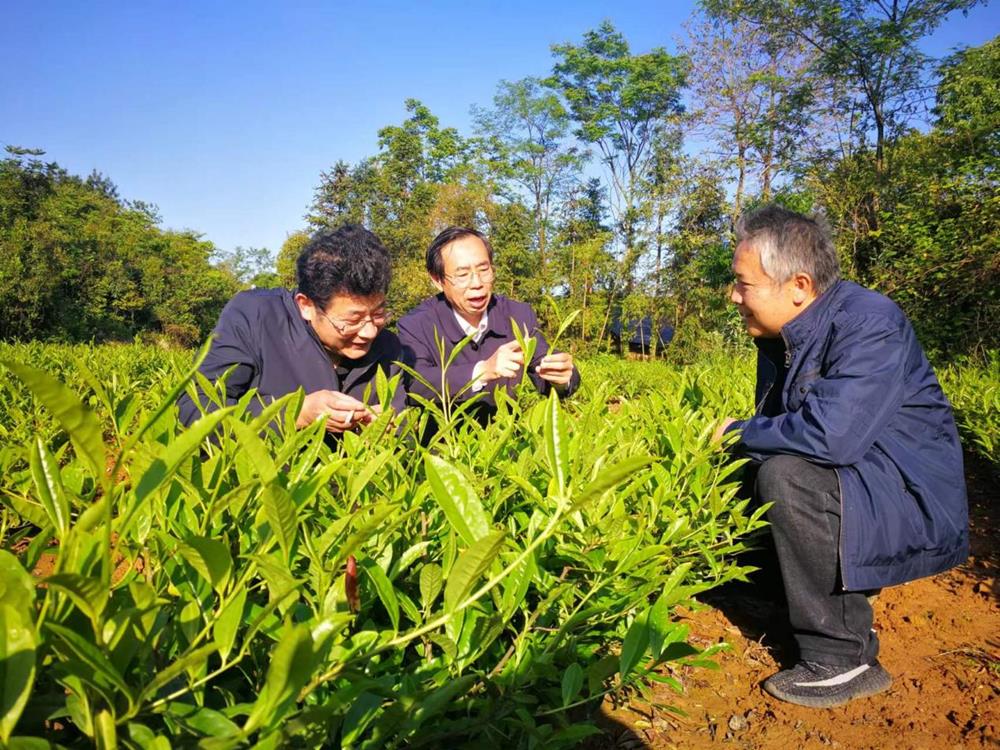 f54552d40d29481e964c545e9a882ab1.jpeg f54552d40d29481e964c545e9a882ab1.jpeg