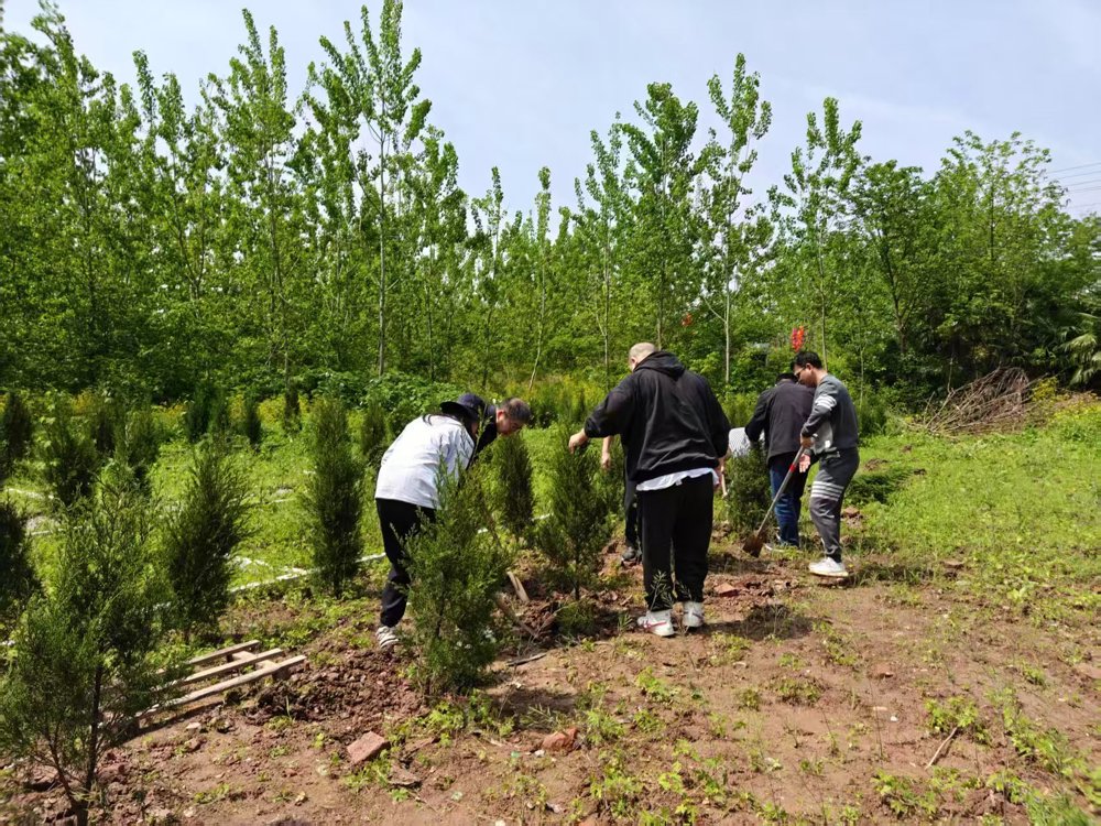 微信图片_20260423172201