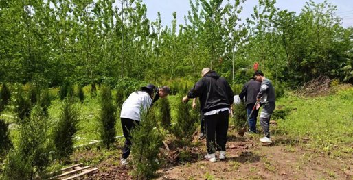 市科技局开展义务植树活动