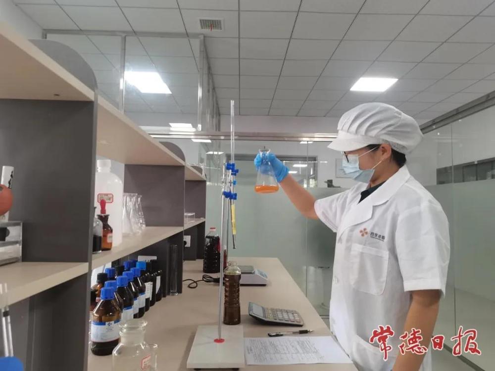 图片11