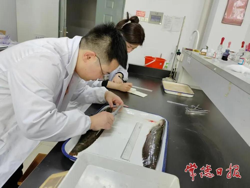 图片13